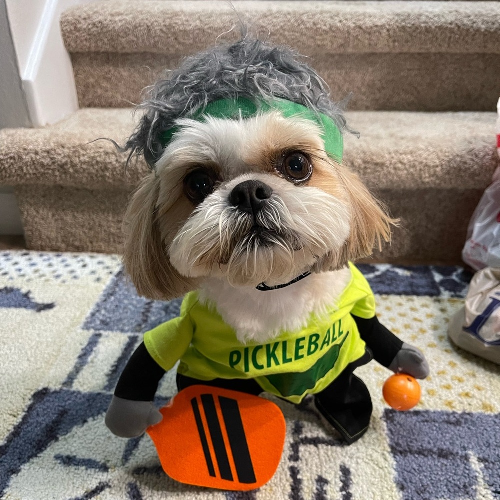 The Nationwide crave for Pickleball doesn’t stop with humans. Size medium.